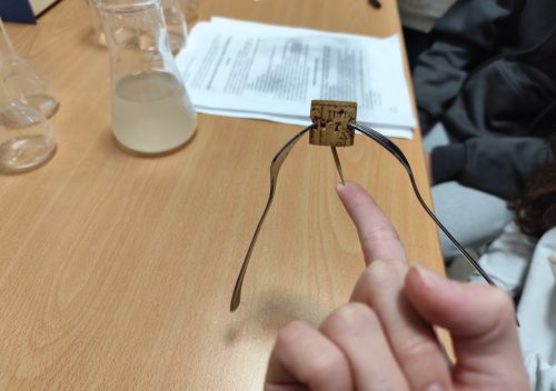 WhatsApp Image 2025-11-20 at 14.20.58