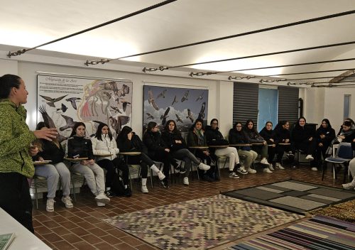 WhatsApp Image 2025-11-24 at 17.21.25