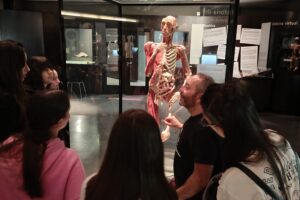 WhatsApp Image 2025-12-01 at 16.48.17 (5)