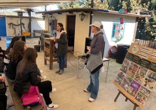 WhatsApp Image 2026-02-25 at 11.03.46