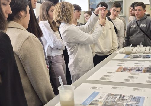 WhatsApp Image 2026-04-14 at 21.26.26